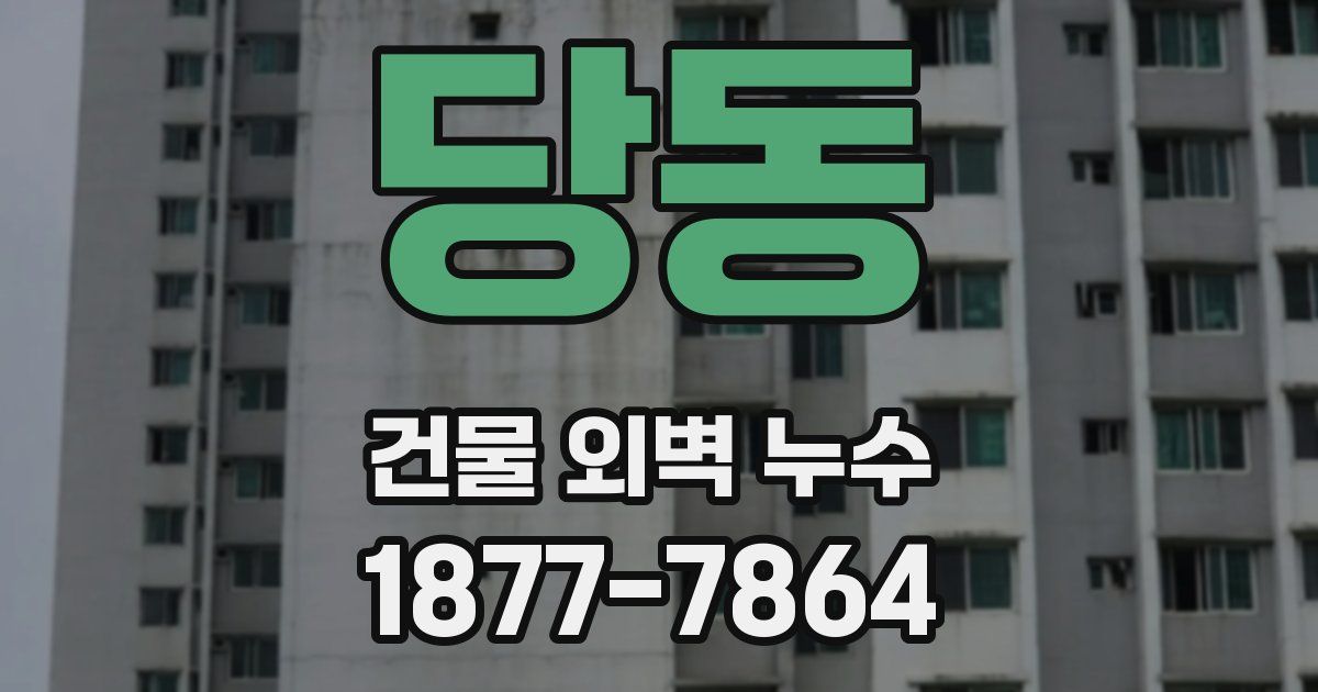 당동 건물 외벽 누수