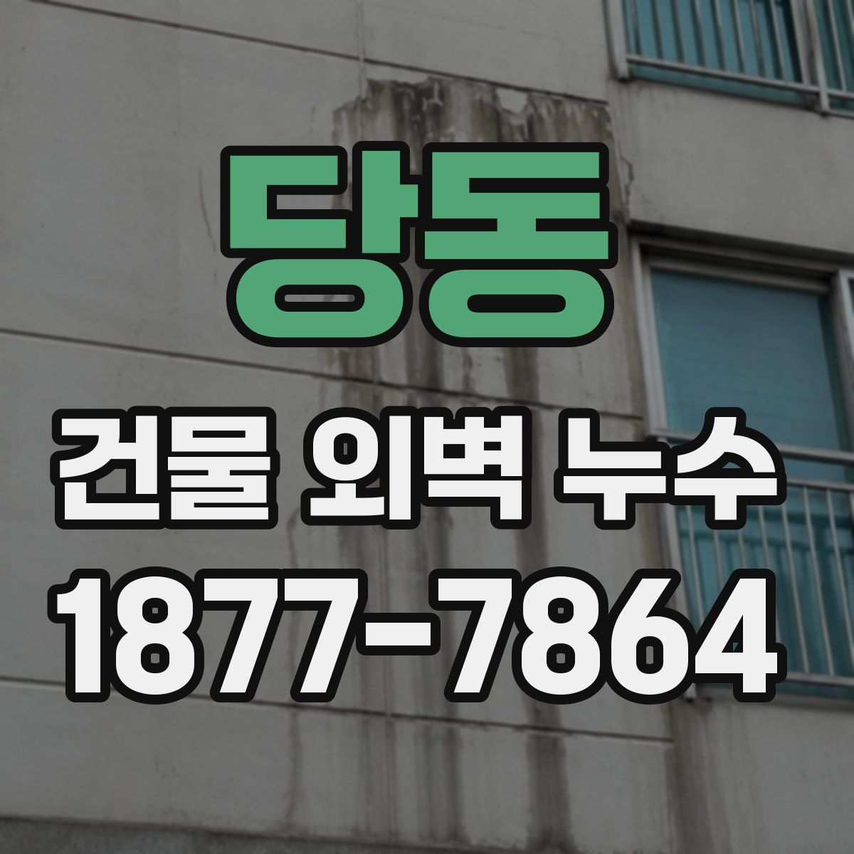 당동 건물 외벽 누수