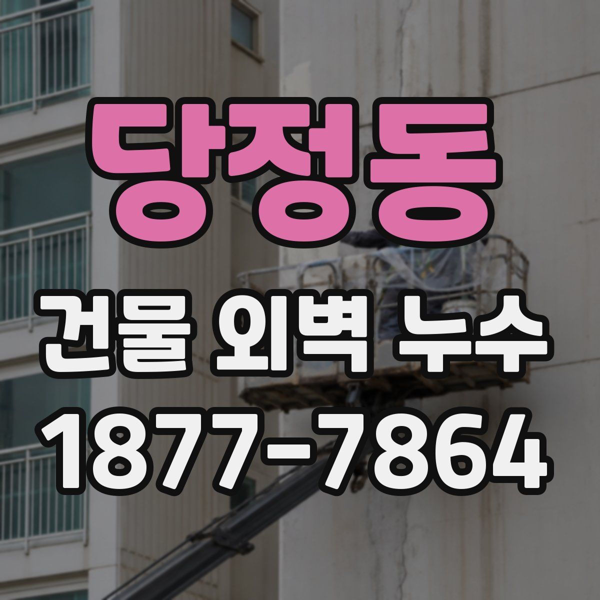 당정동 건물 외벽 누수