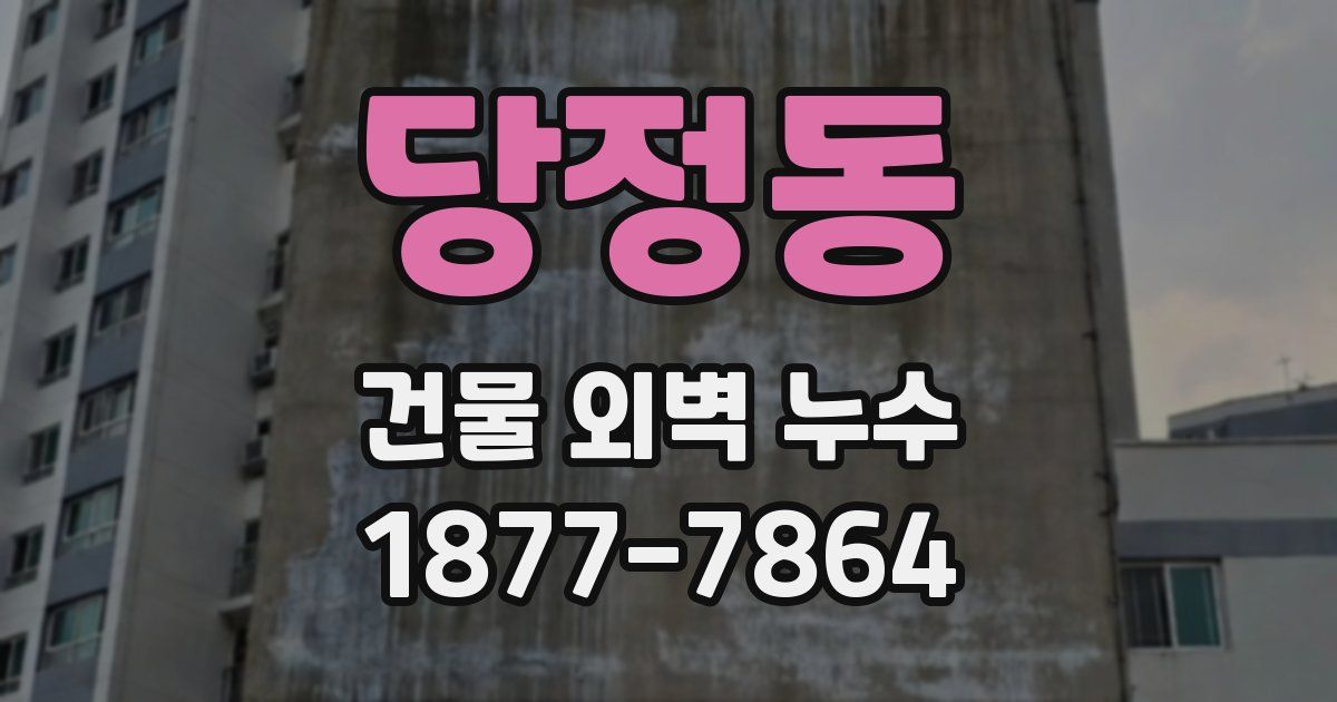 당정동 건물 외벽 누수