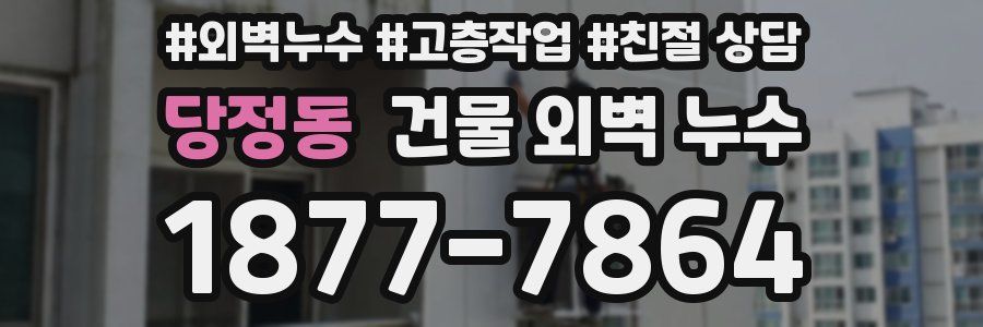 당정동 건물 외벽 누수