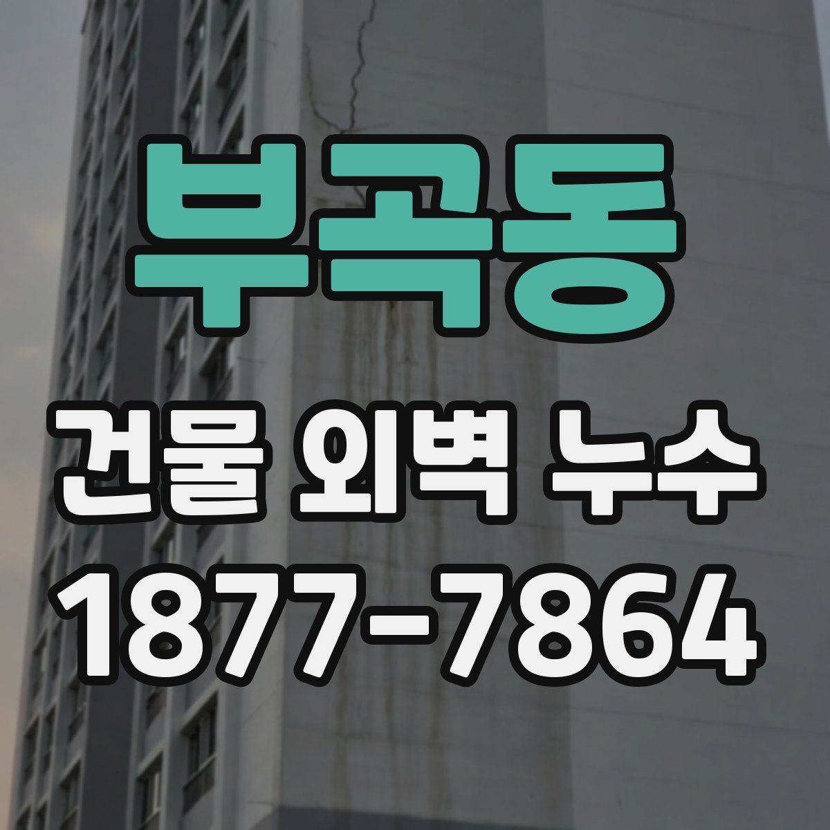 부곡동 건물 외벽 누수
