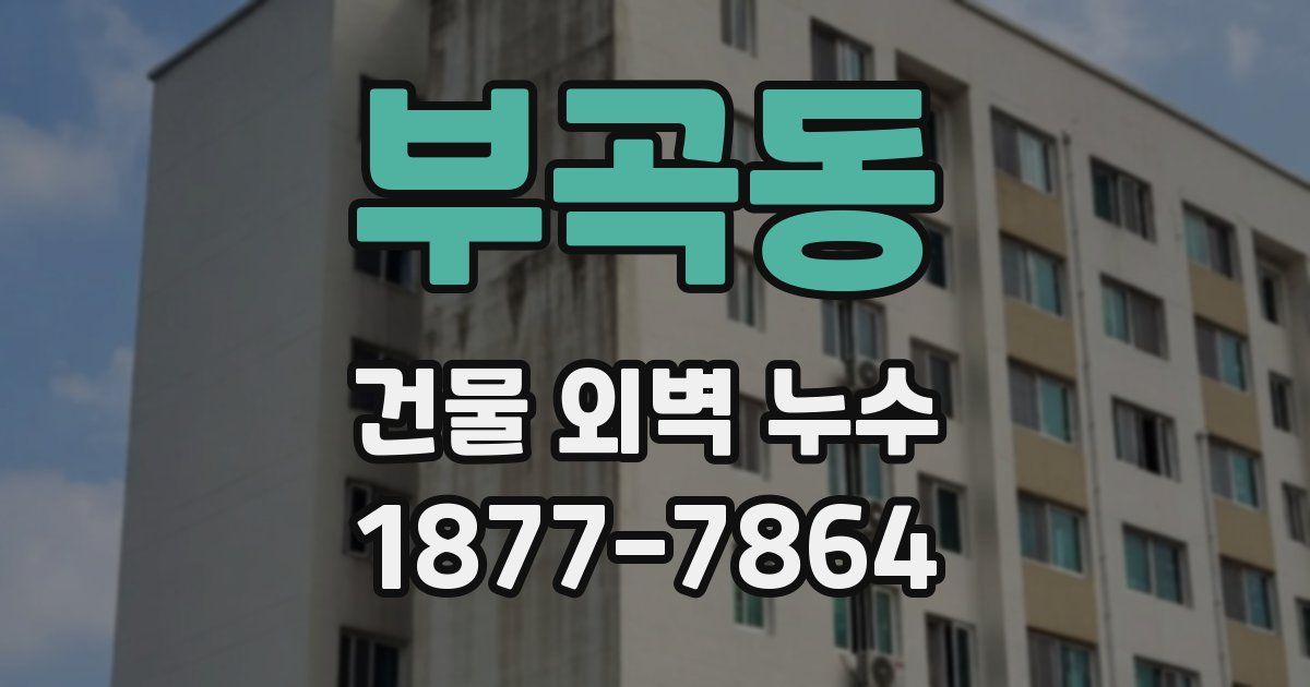 부곡동 건물 외벽 누수