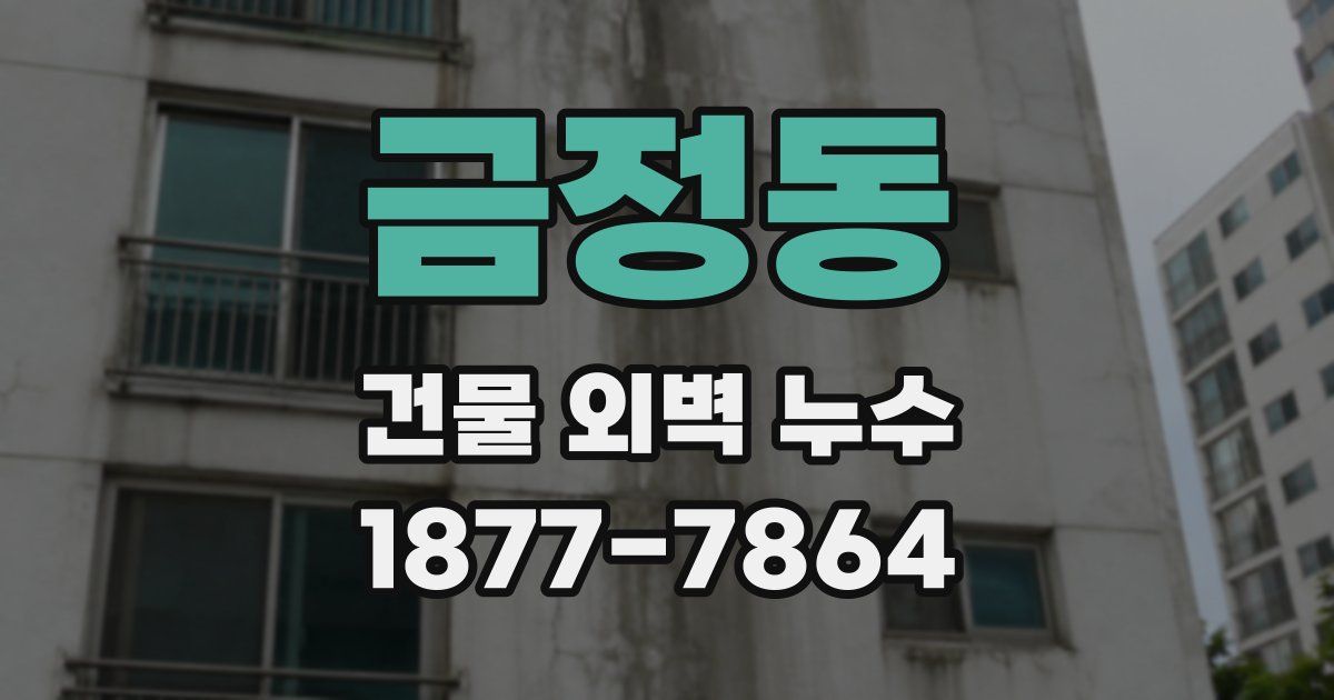 금정동 건물 외벽 누수