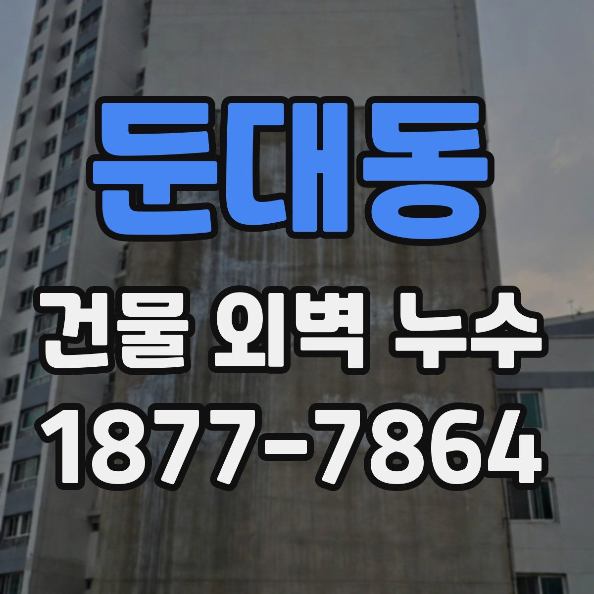 둔대동 건물 외벽 누수
