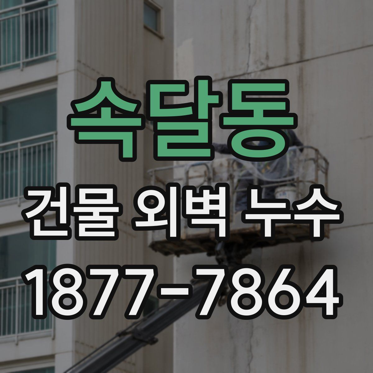속달동 건물 외벽 누수