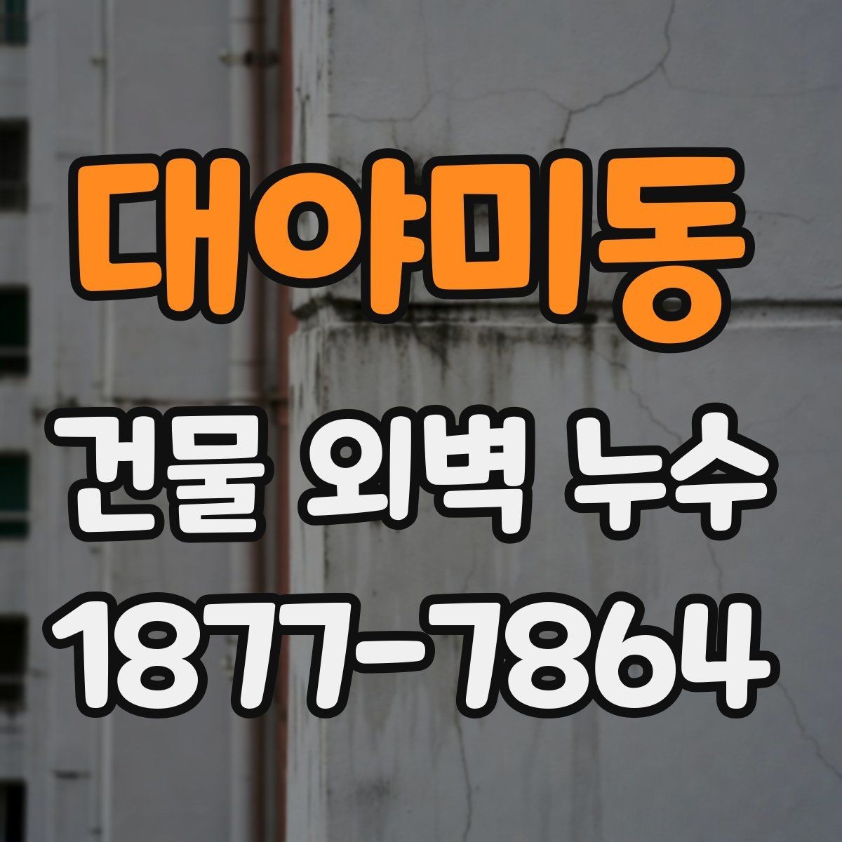 대야미동 건물 외벽 누수 진단 시 업체에 물어볼 질문