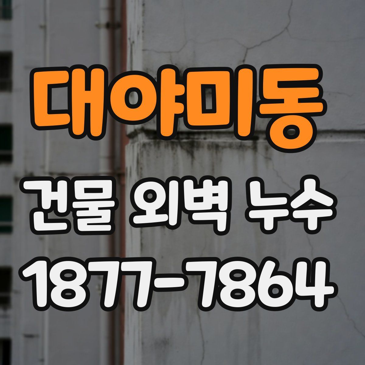 대야미동 건물 외벽 누수