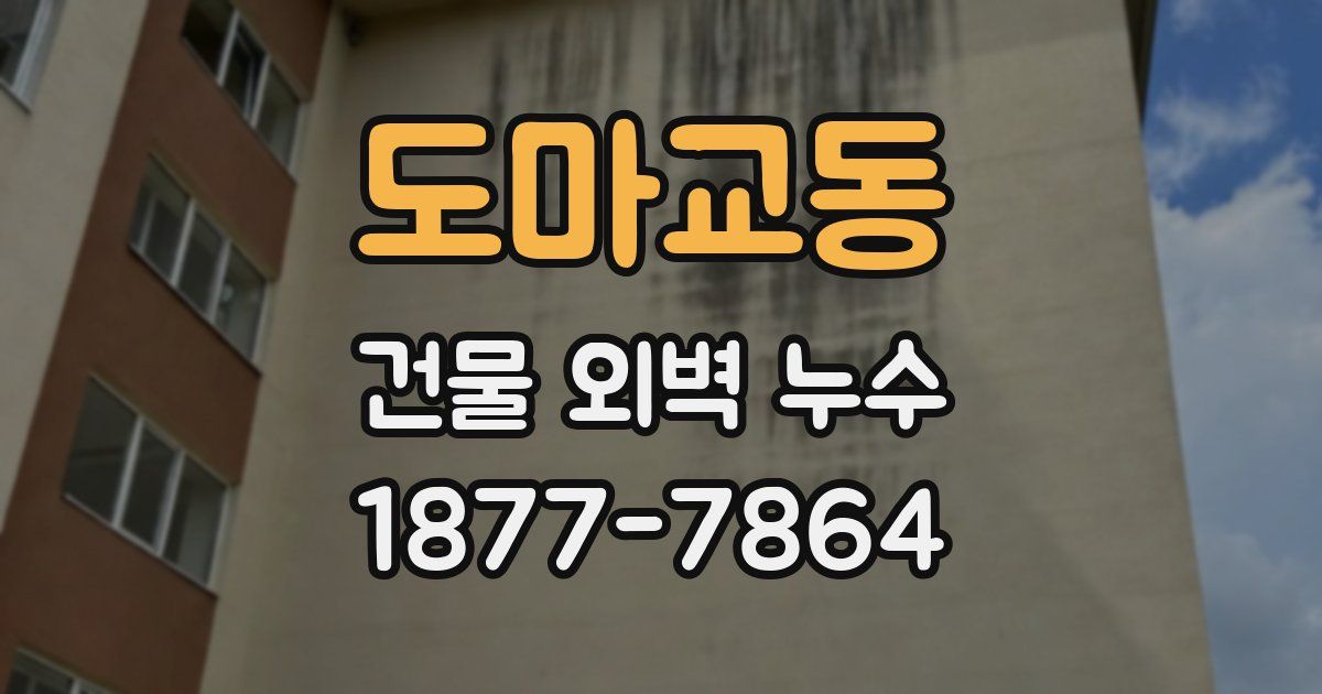 도마교동 건물 외벽 누수