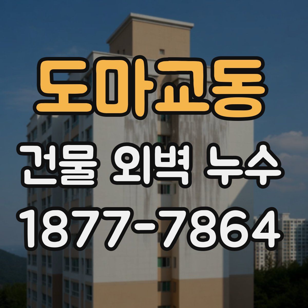 도마교동 건물 외벽 누수