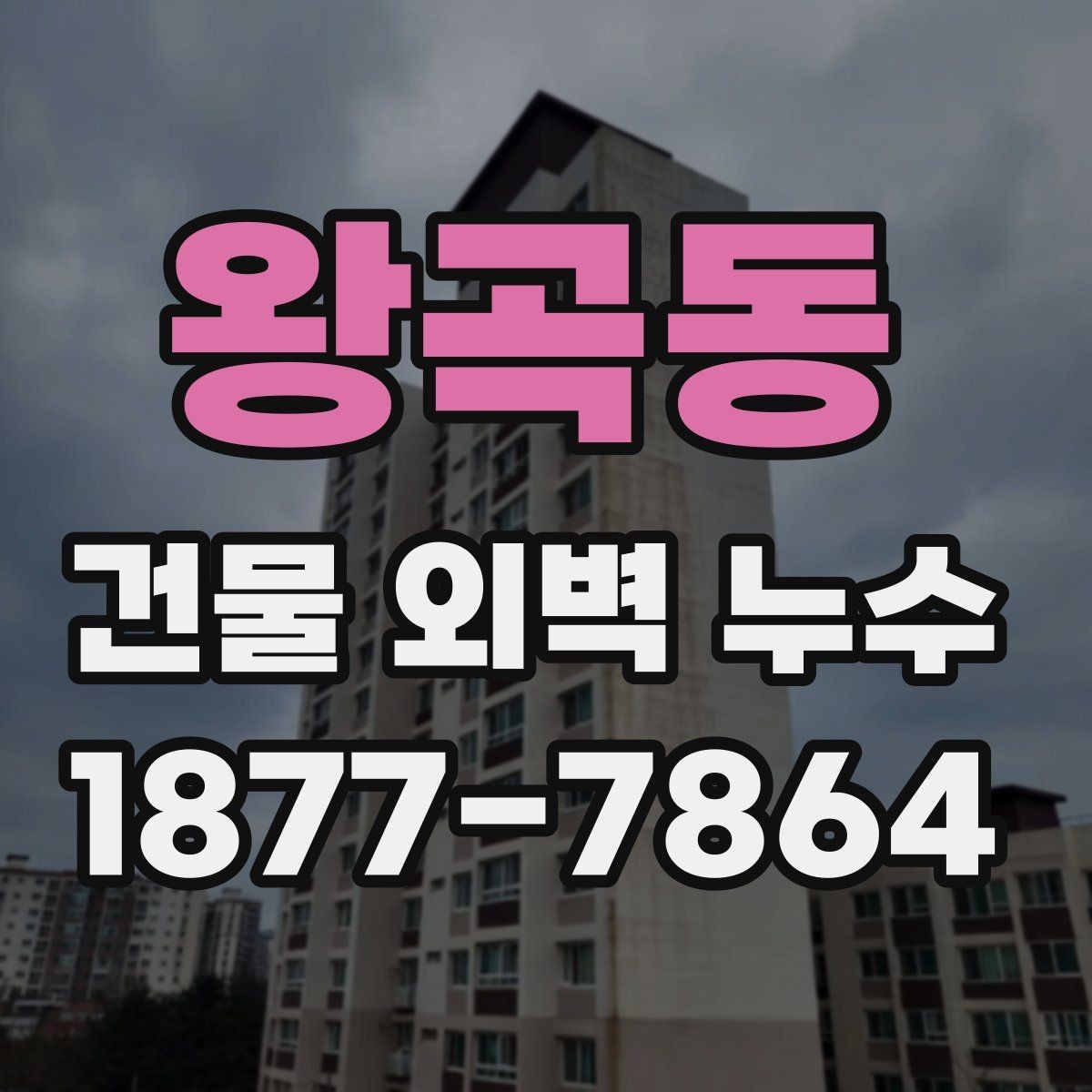 왕곡동 건물 외벽 누수 진단 결과를 해석하는 방법