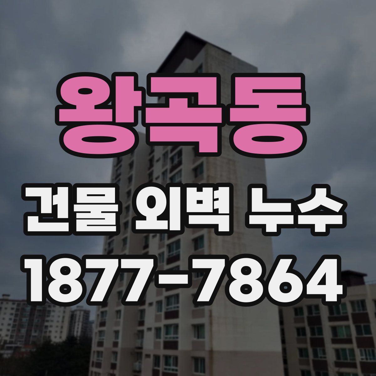 왕곡동 건물 외벽 누수