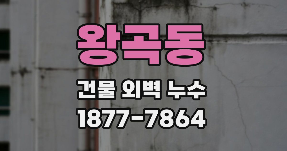 왕곡동 건물 외벽 누수