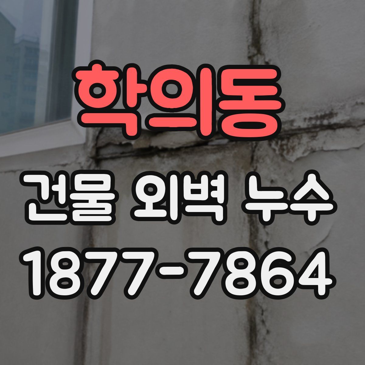 학의동 건물 외벽 누수