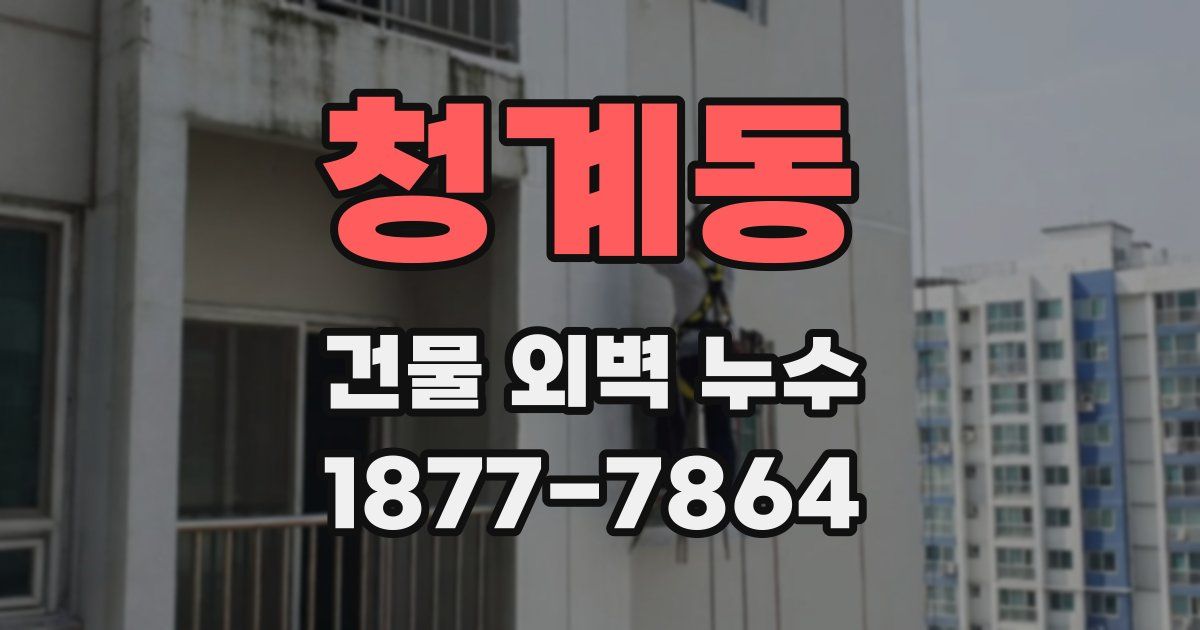청계동 건물 외벽 누수