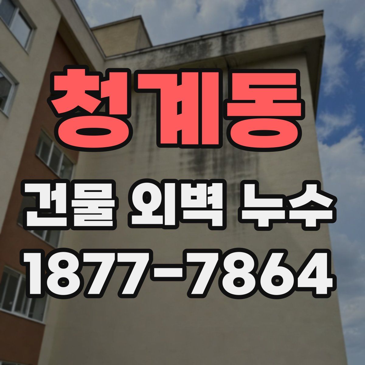 청계동 건물 외벽 누수