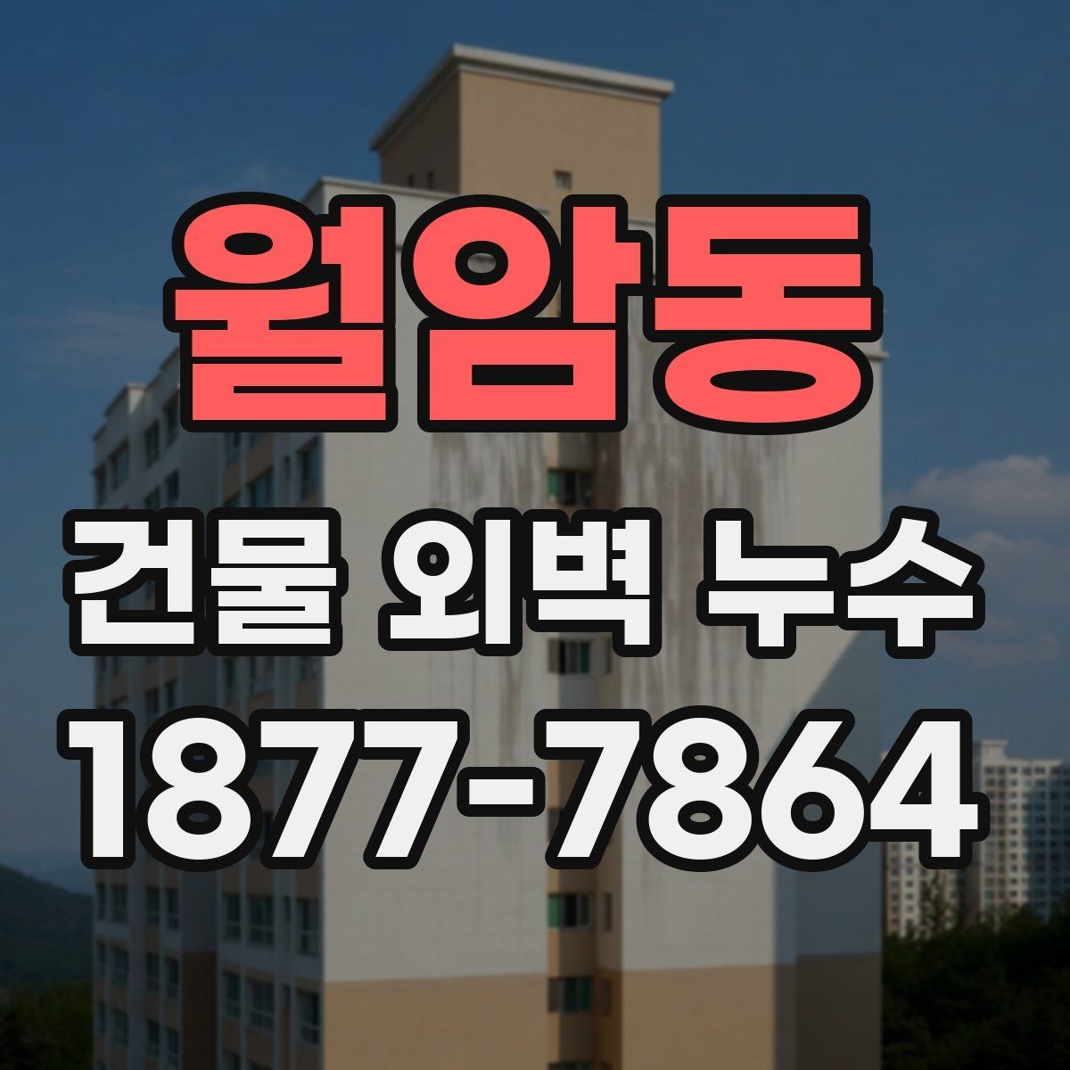 월암동 건물 외벽 누수 의심 증상으로 보는 신호
