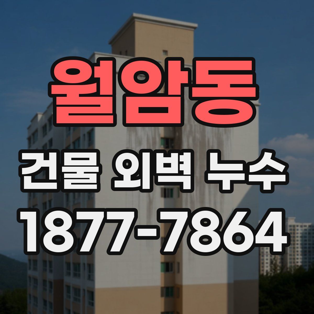 월암동 건물 외벽 누수