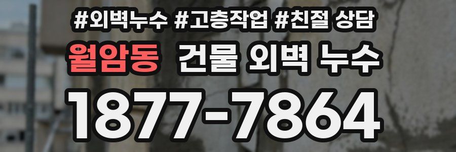 월암동 건물 외벽 누수