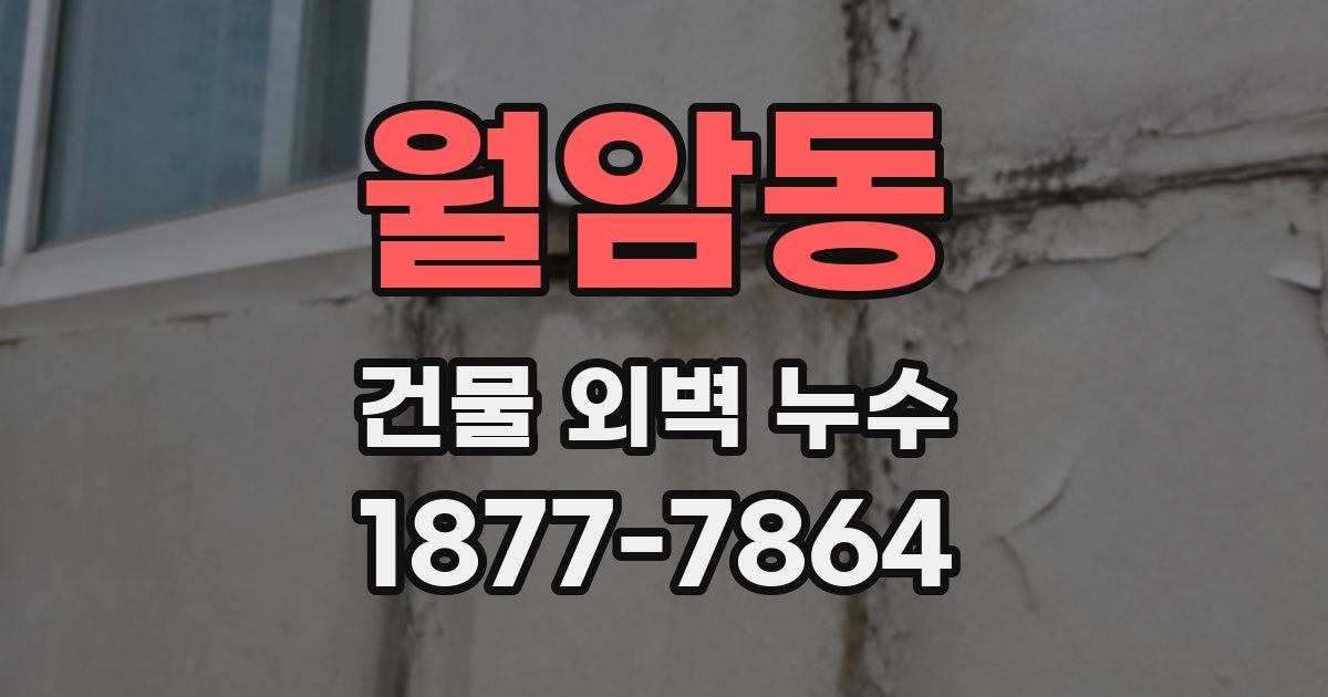 월암동 건물 외벽 누수