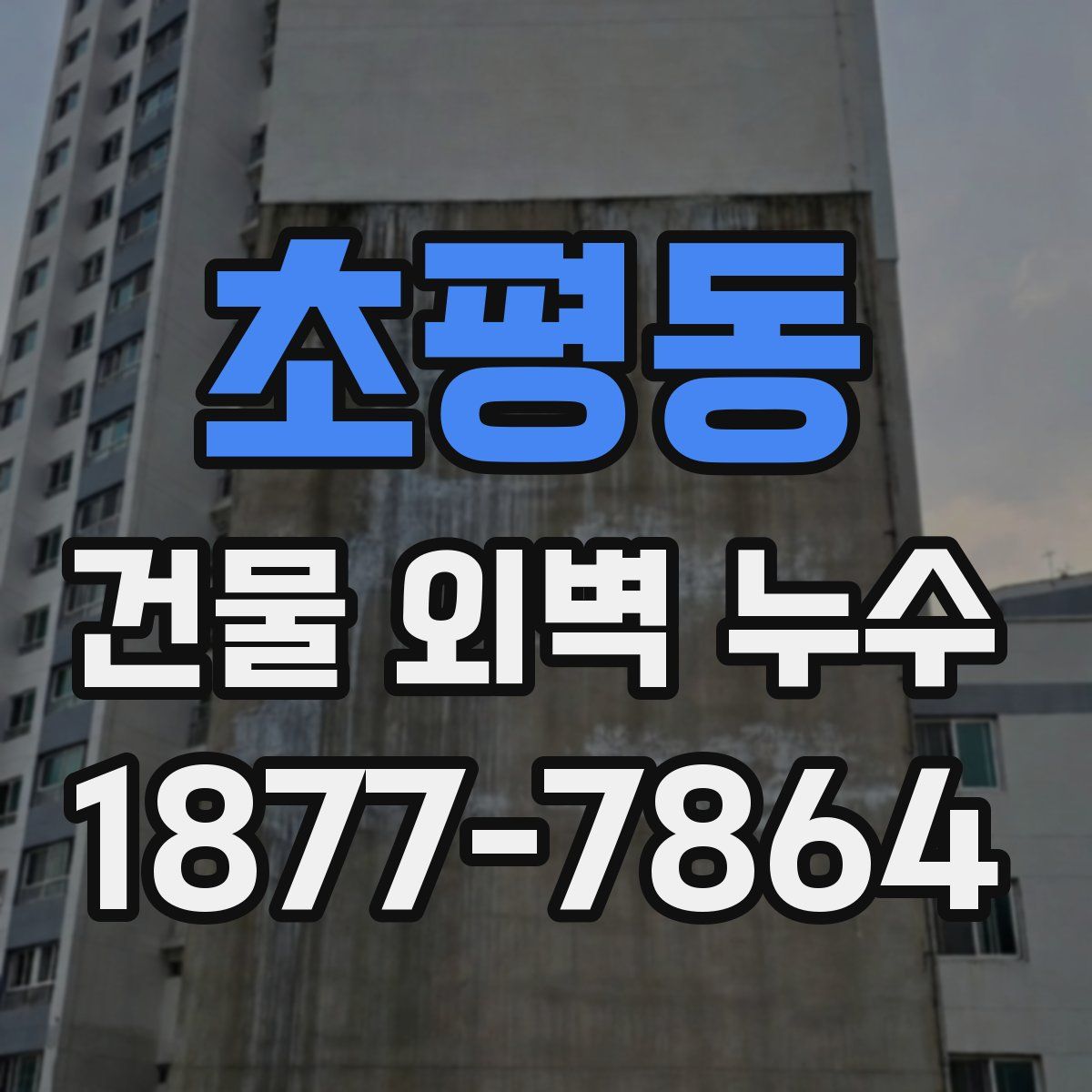 초평동 건물 외벽 누수