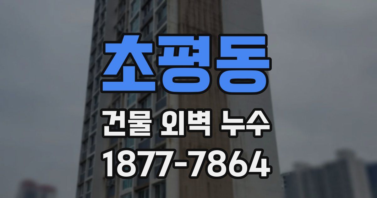 초평동 건물 외벽 누수