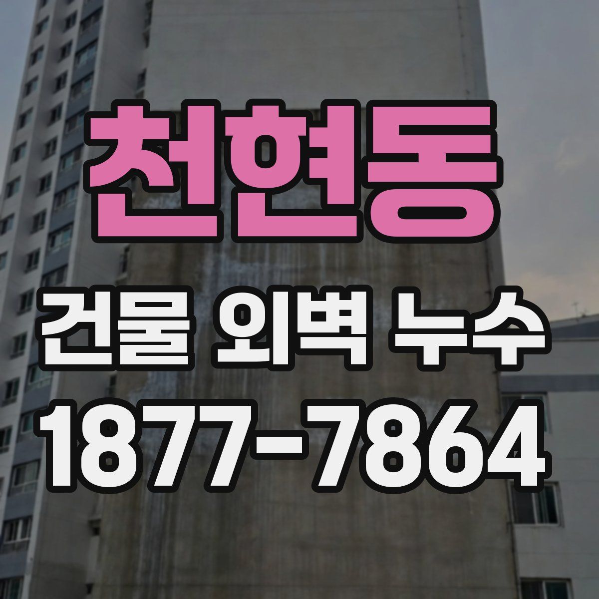 천현동 건물 외벽 누수