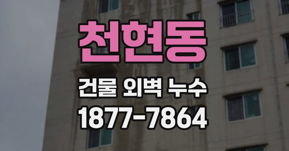 천현동 건물 외벽 누수