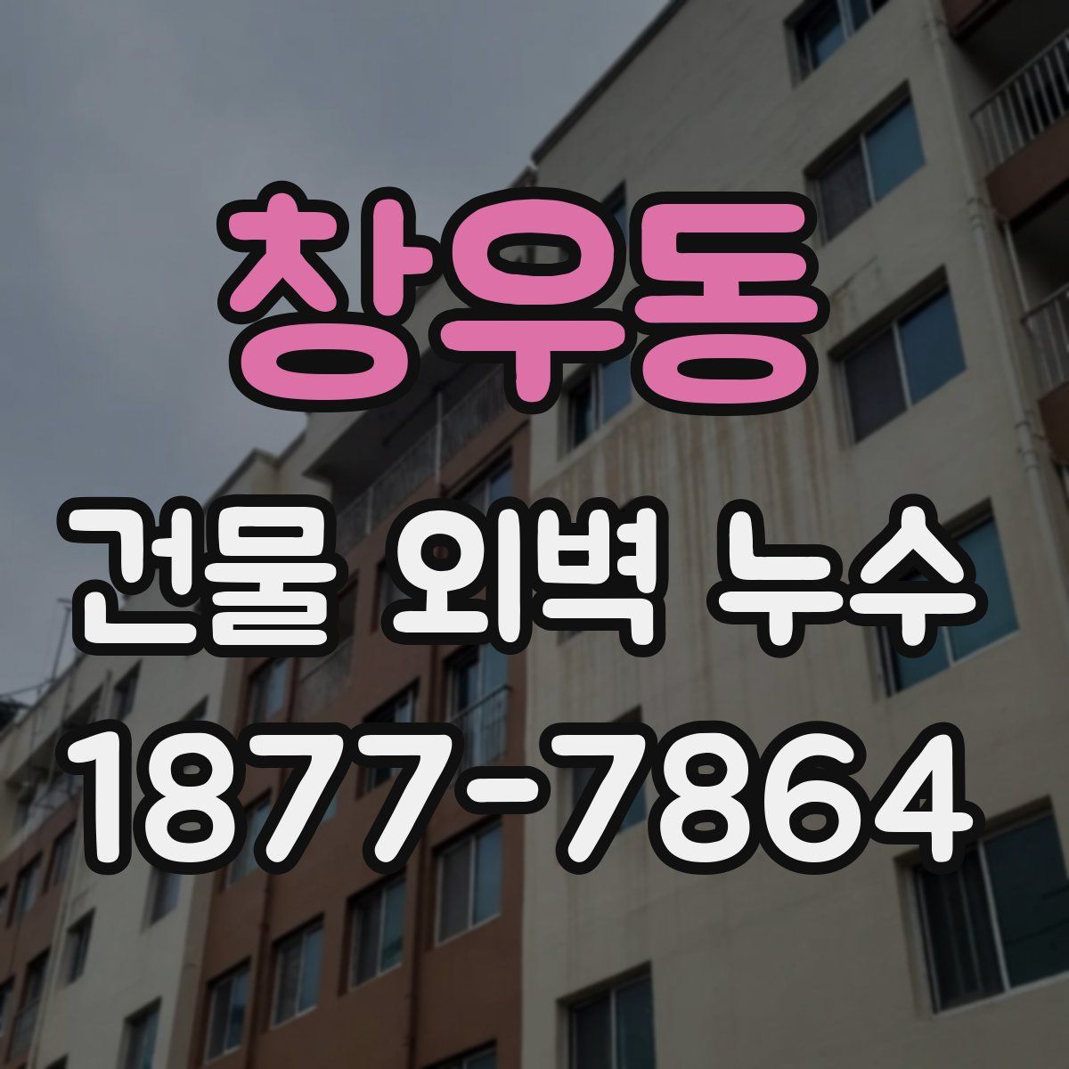 창우동 건물 외벽 누수