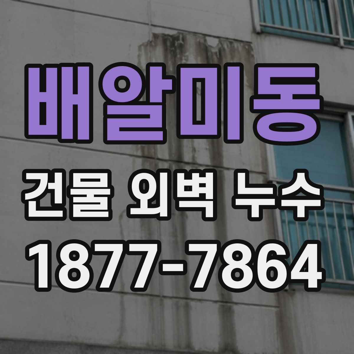 배알미동 건물 외벽 누수