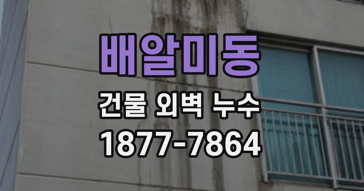 배알미동 건물 외벽 누수