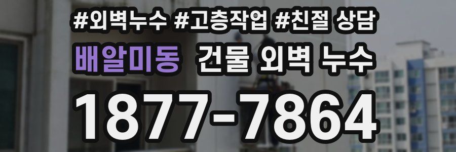 배알미동 건물 외벽 누수