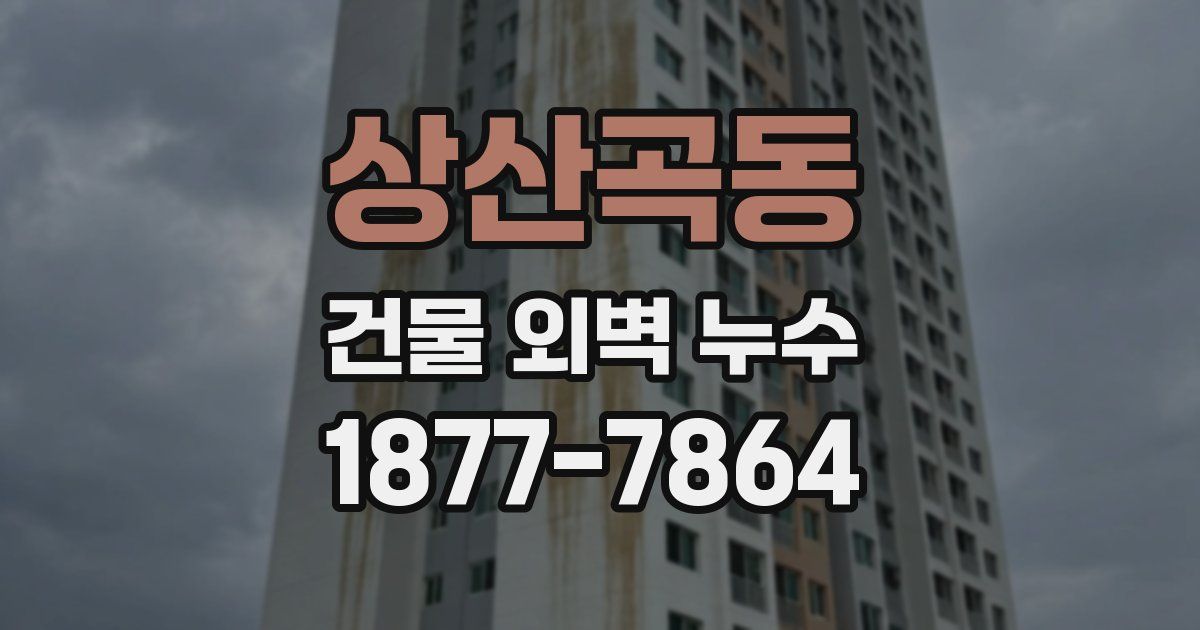 상산곡동 건물 외벽 누수
