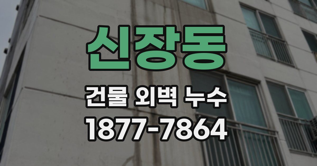 신장동 건물 외벽 누수
