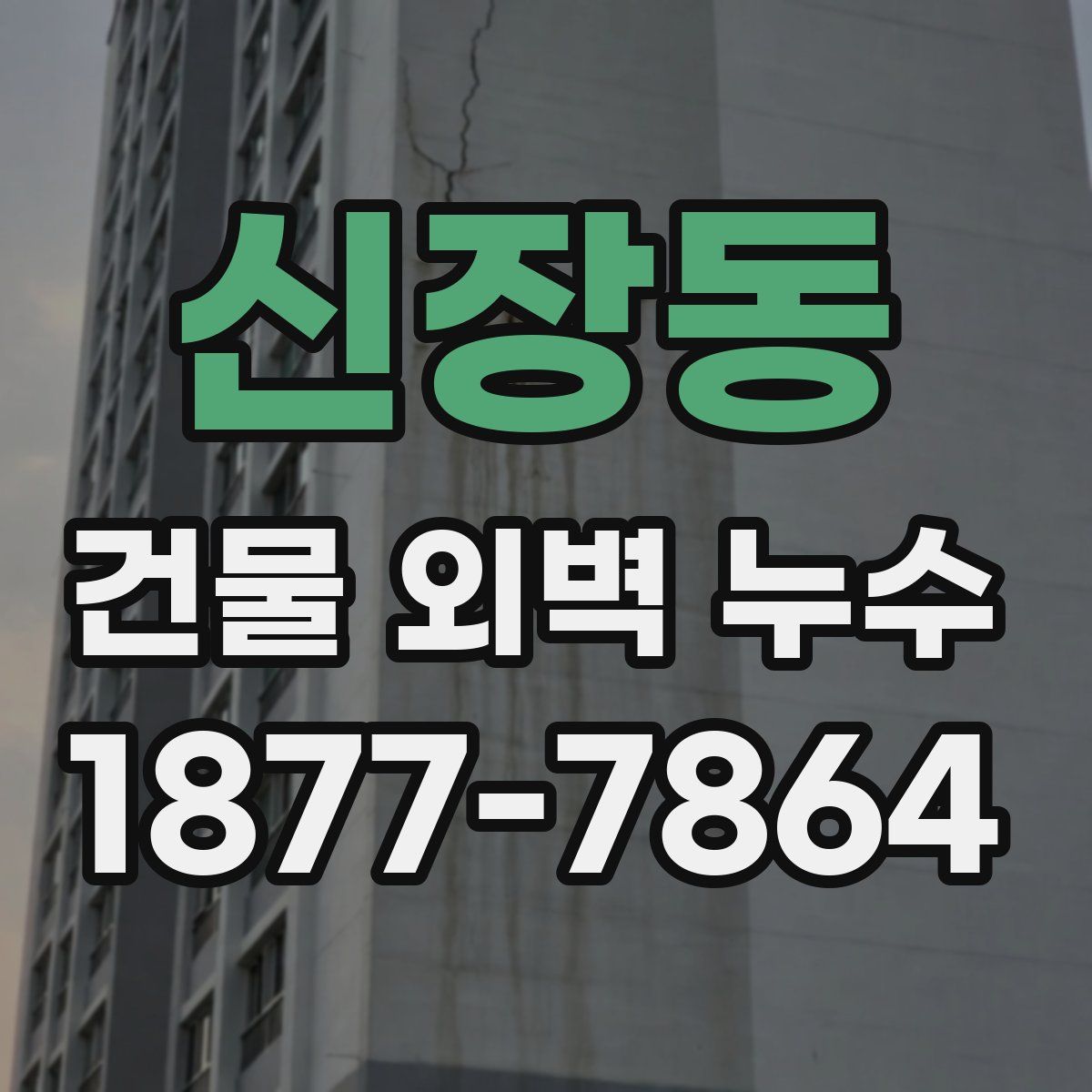 신장동 건물 외벽 누수