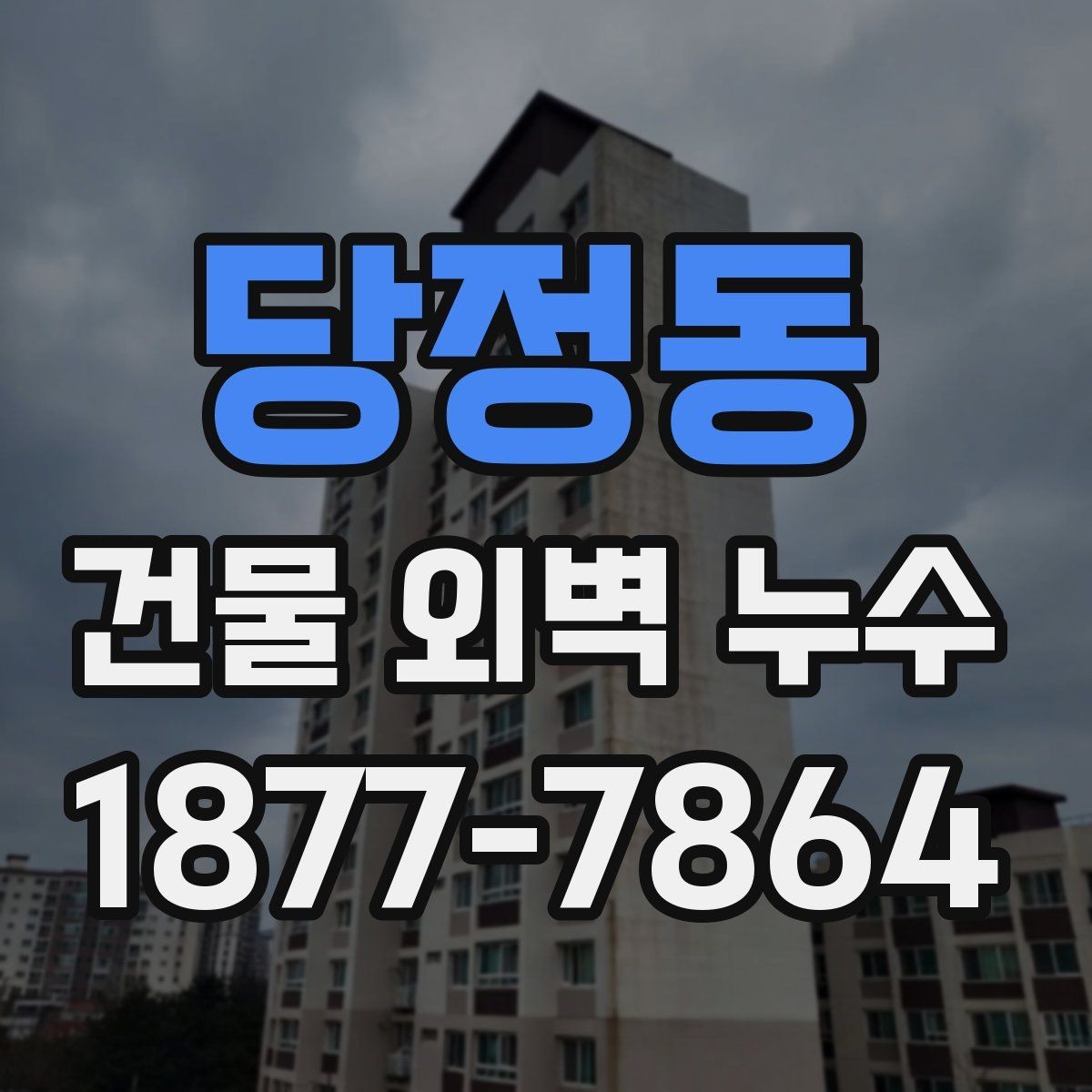 당정동 건물 외벽 누수 공사 방식 선택 기준