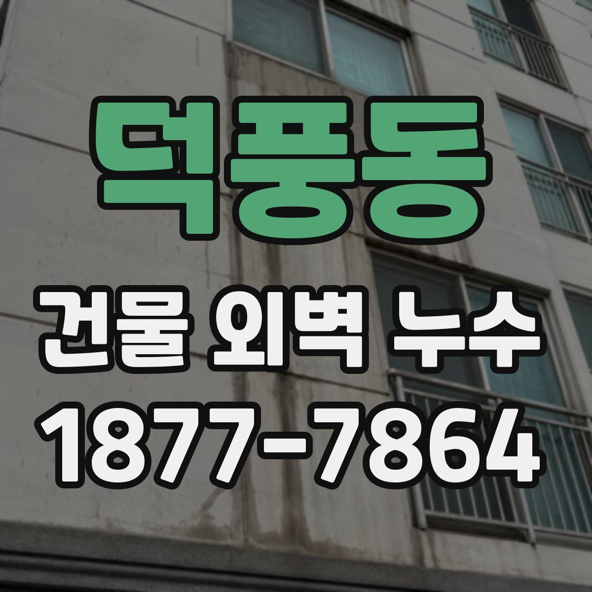덕풍동 건물 외벽 누수