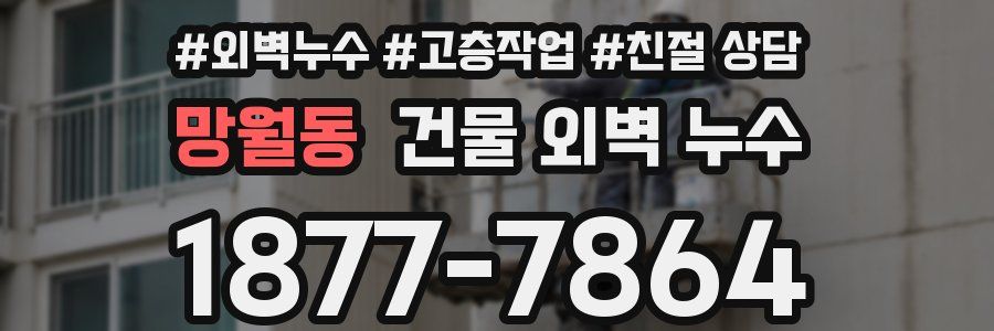 망월동 건물 외벽 누수