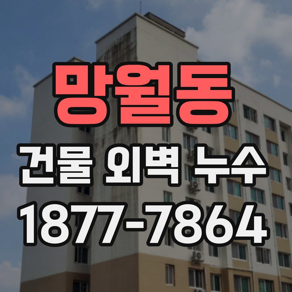 망월동 건물 외벽 누수