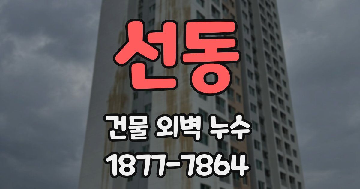 선동 건물 외벽 누수