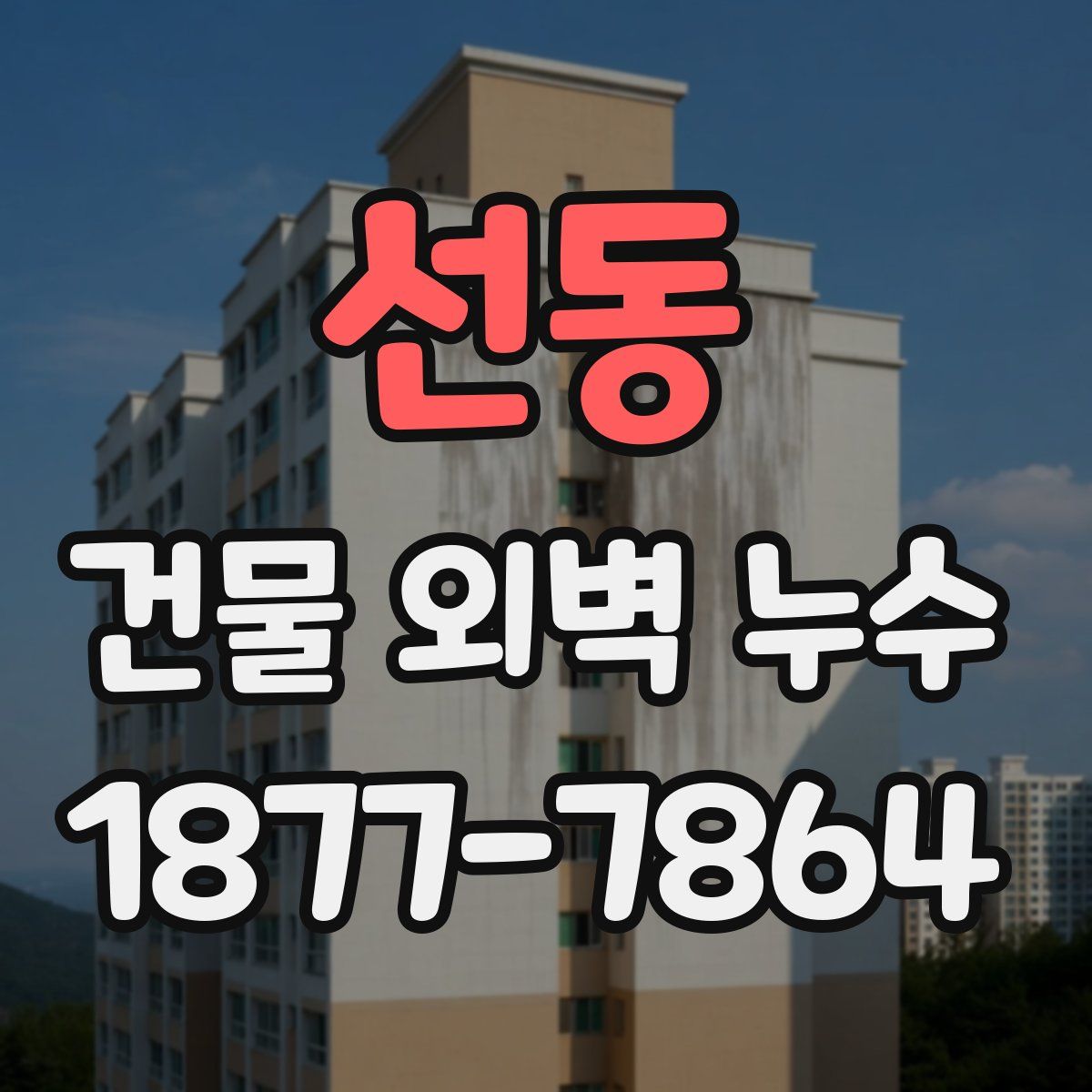 선동 건물 외벽 누수