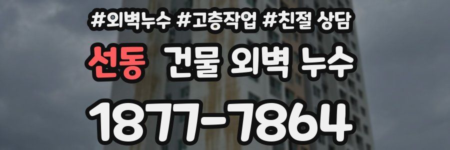 선동 건물 외벽 누수