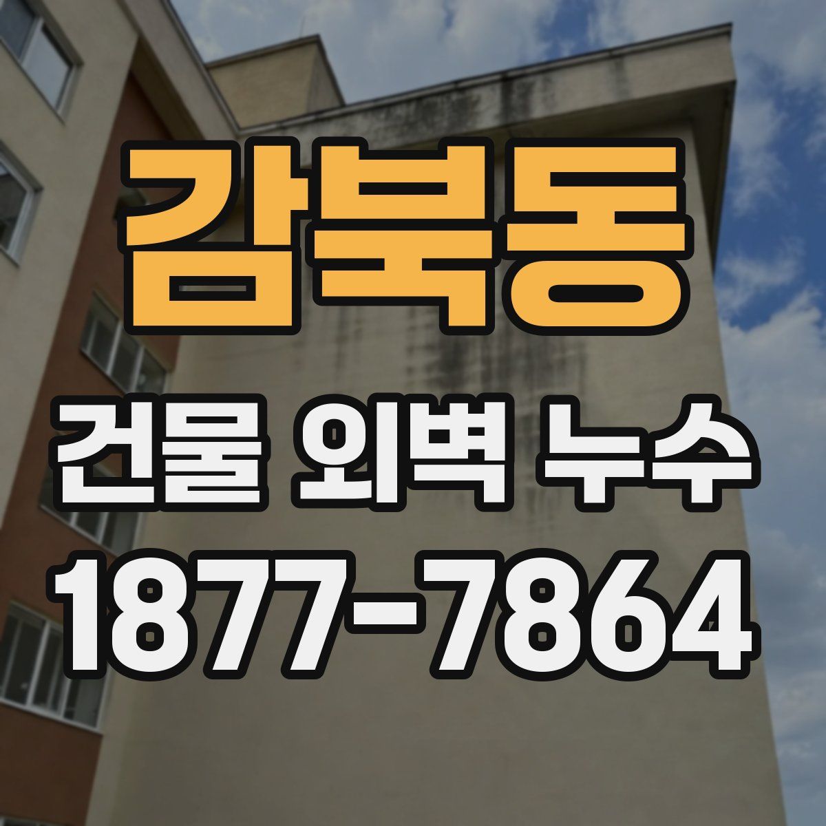 감북동 건물 외벽 누수