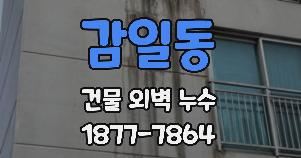 감일동 건물 외벽 누수