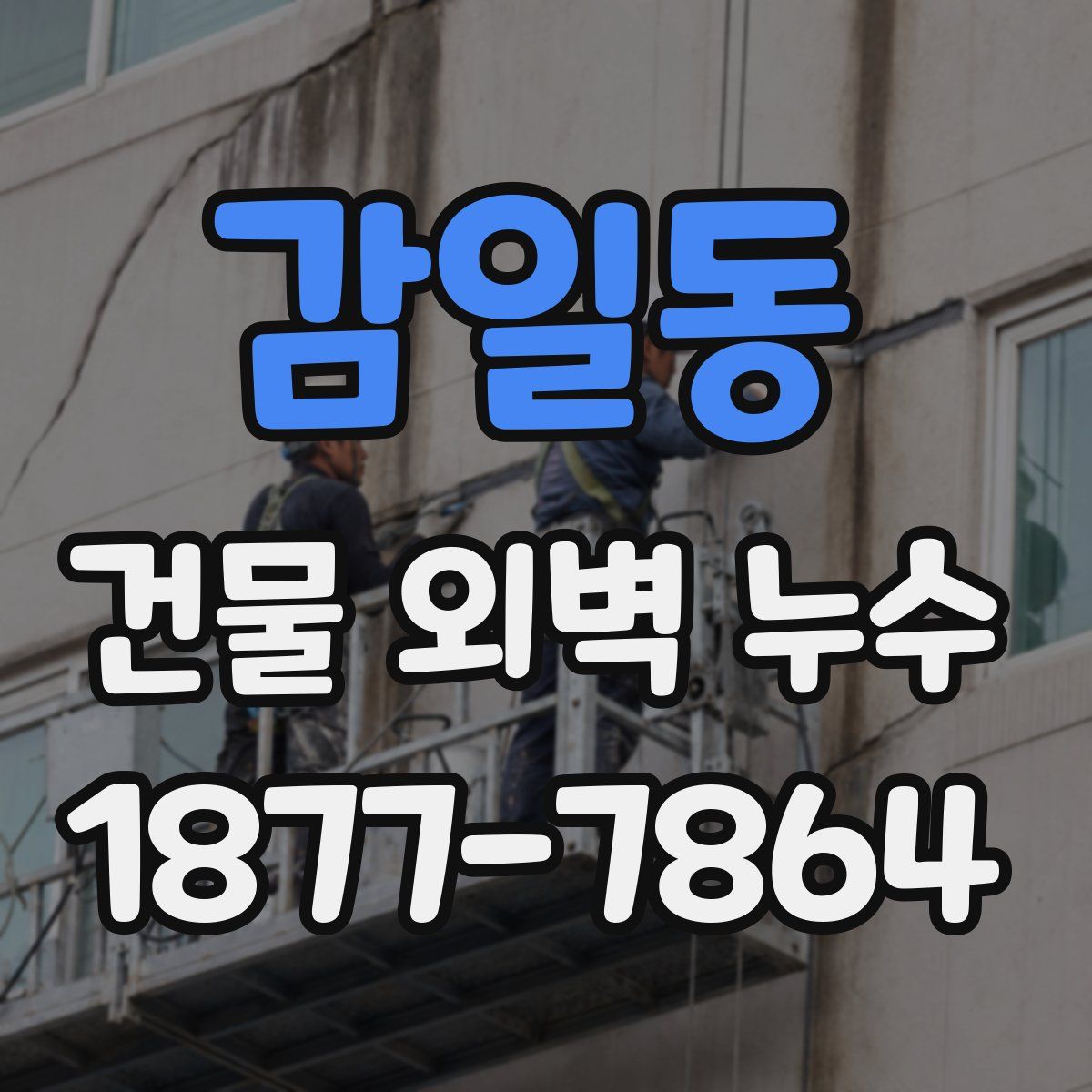감일동 건물 외벽 누수