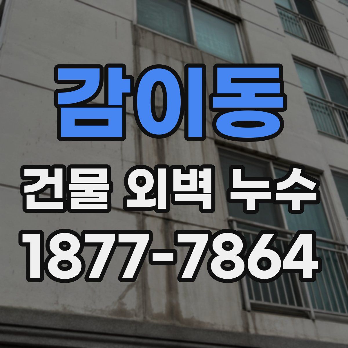 감이동 건물 외벽 누수