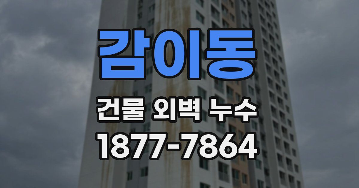 감이동 건물 외벽 누수