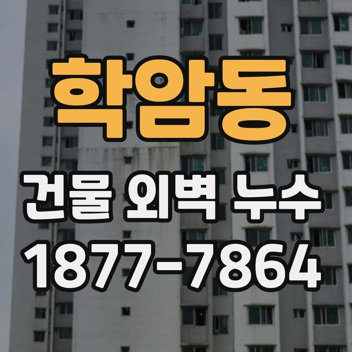 학암동 건물 외벽 누수 발생 구간별 수리 접근