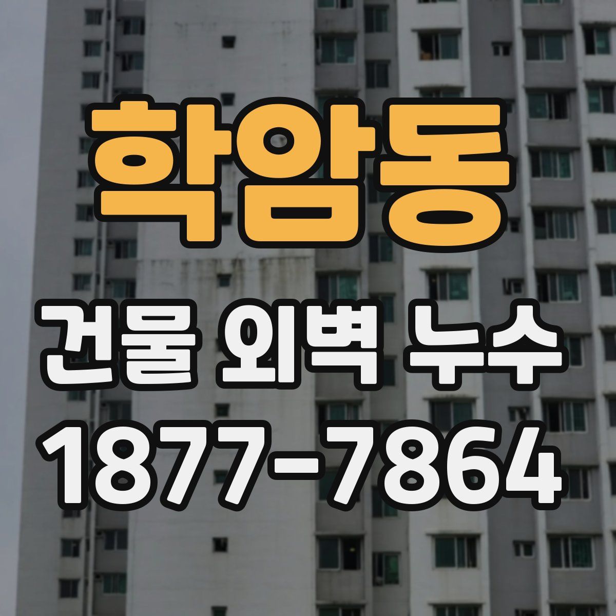 학암동 건물 외벽 누수