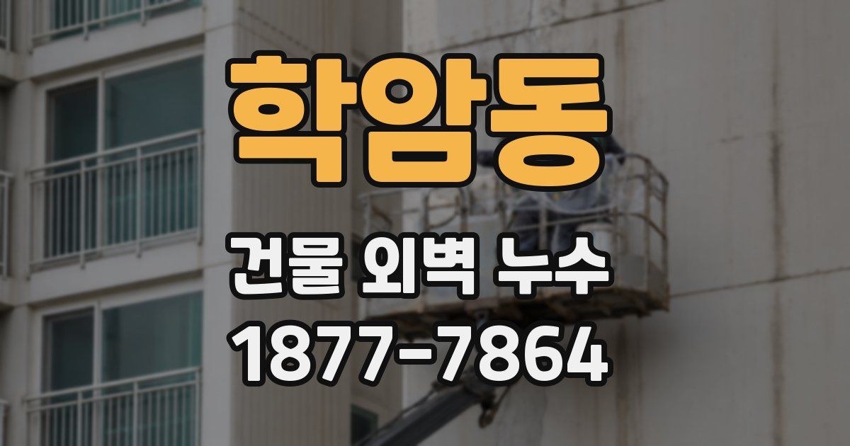 학암동 건물 외벽 누수